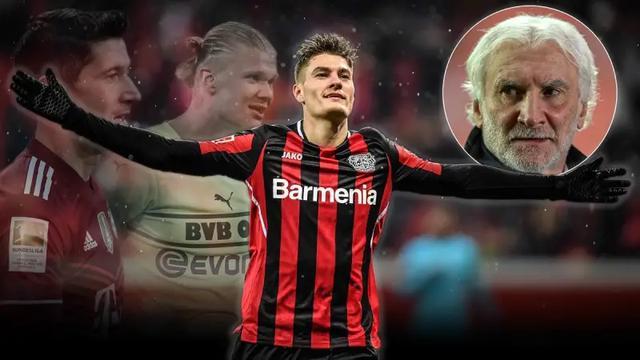 速理解这波 速理解这波