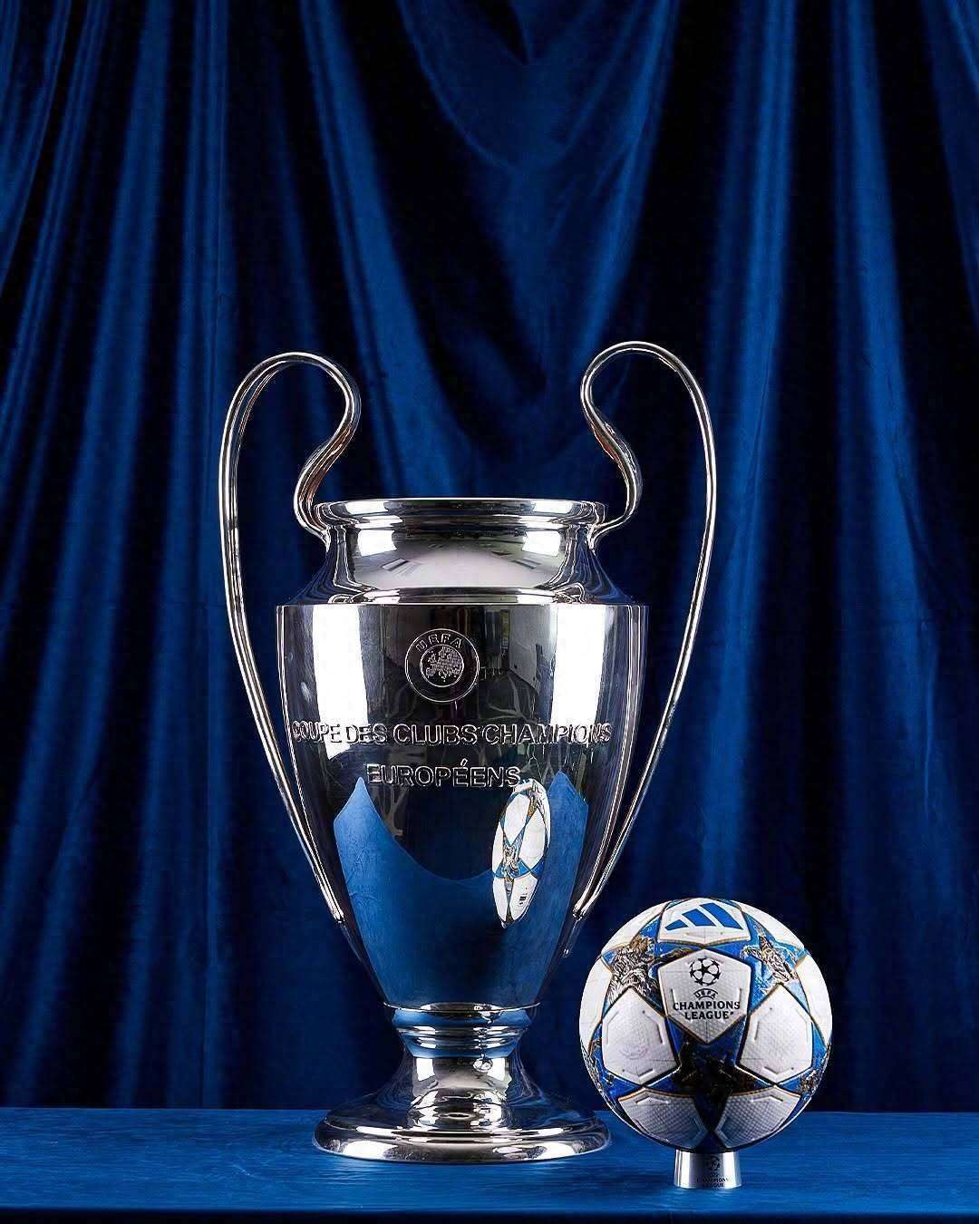 肌肉与关节 肌肉与关节